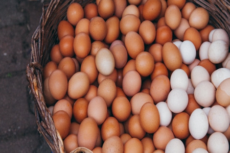 每天吃一个鸡蛋有什么好处？
